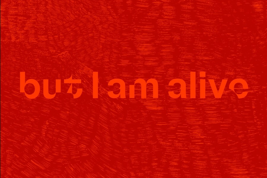 Naslovnica kataloga koji prati izložbu "But I Am Alive"
